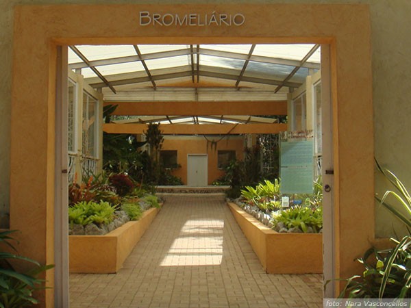 bromeliario-1